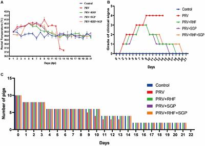 Therapeutic and immune-regulation effects of Scutellaria baicalensis Georgi polysaccharide on pseudorabies in piglets